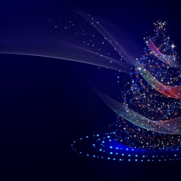 Christmas Training Update